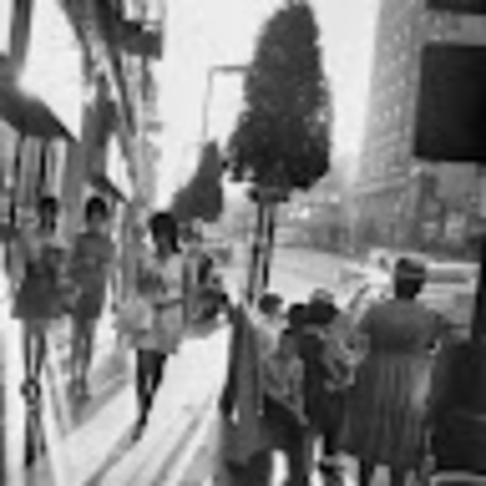 Meet your Posher, Erin